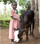 girl-with-calf Heifer.org